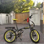 TOKYO: Professional Gardener Guides Gardens by E-bike -LIGHT - An In-Depth Look at the E-Bike Garden Tour in Tokyo