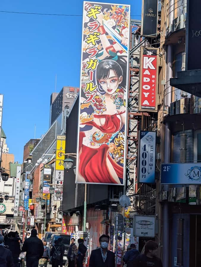 Tokyo: Samurai Revue Show with 2 drinks & Dinner at Izakaya - Who Will Love This Tour?