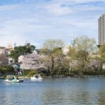 Tokyo: Shakujii Park Tour with Lacal Udon - What We Loved About This Tour