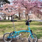 Tokyo Shibamata Retro Bike Tour with Lunch & Coffee - Practical Details and What You Should Know