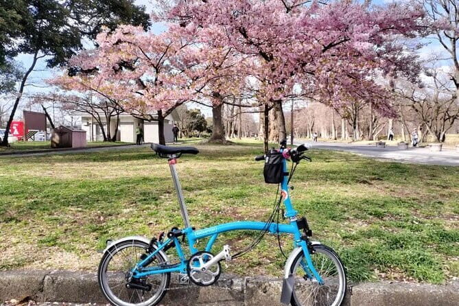 Tokyo Shibamata Retro Bike Tour with Lunch & Coffee - Practical Details and What You Should Know