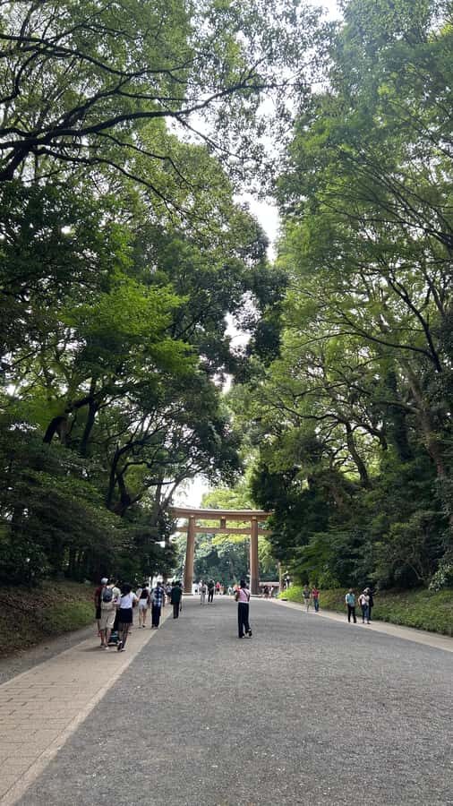 Tokyo: Shibuya, Harajuku & Meiji Shrine Walking Tour - Why This Tour Is Worth Your Time
