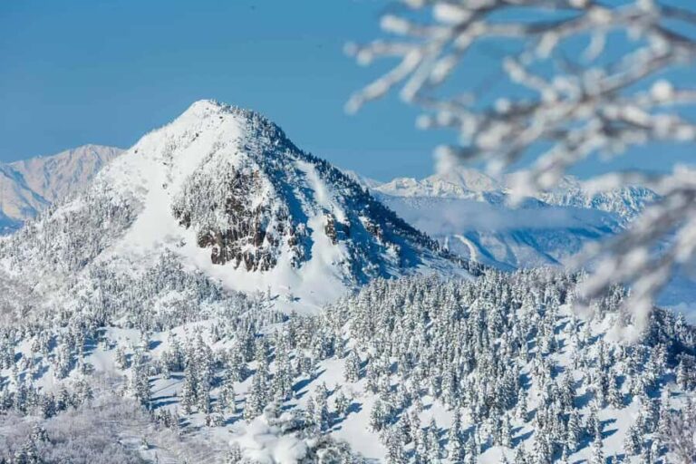 Tokyo: Shiga Kogen Ski Resort day Tour With English driver - Practical Details & What to Know