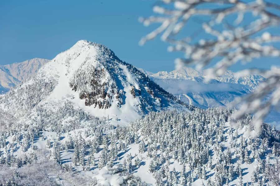 Tokyo: Shiga Kogen Ski Resort day Tour With English driver - Practical Details & What to Know