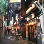 Tokyo: Shinjuku Back-Alley Food and Local Culture Tour - Who Will Love This Tour?