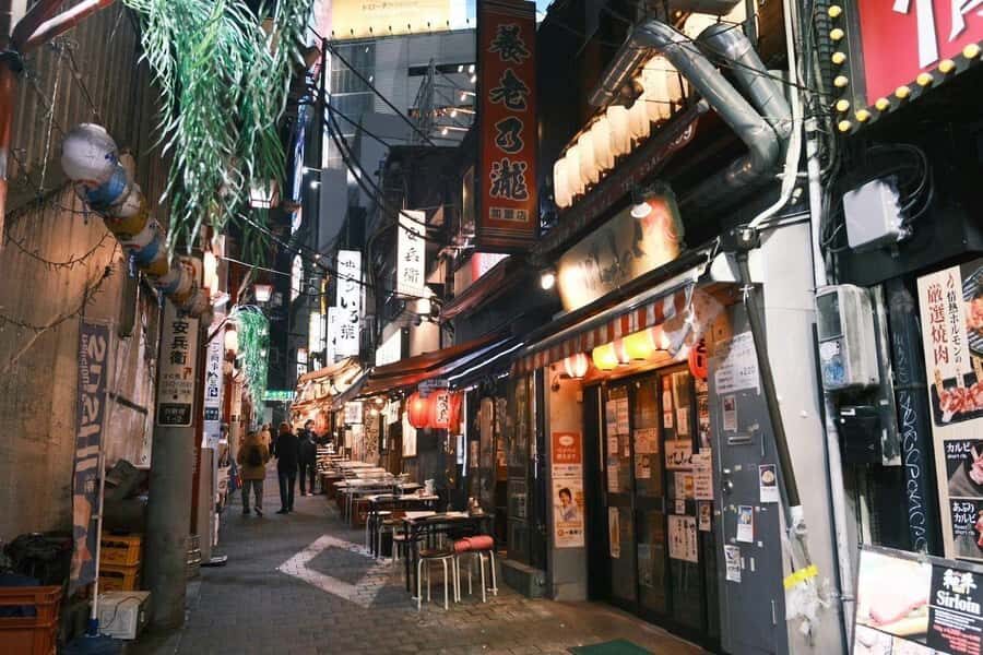 Tokyo: Shinjuku Back-Alley Food and Local Culture Tour - Who Will Love This Tour?