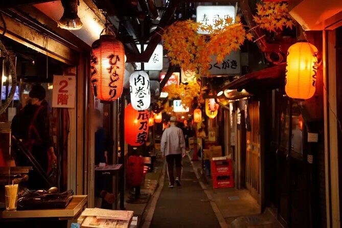 Tokyo Shinjuku Food Tour 16 Dishes and 4 Eateries - Who Will Love This Tour?