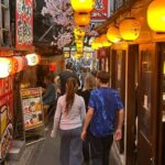 Tokyo Shinjuku: History, Culture & Hidden Alleys Walking Tour - Practical Considerations