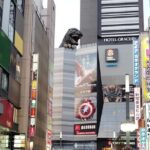 Tokyo: Shinjuku Night Adventure Kabukicho & Golden Local Bar Hop - Authenticity and Value of the Experience