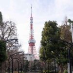 Tokyo: Shinto and Buddhism Walking Tour with Guide - Practical Details and Experience Quality