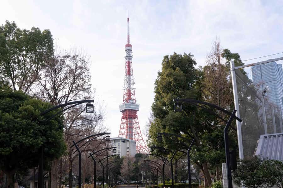 Tokyo: Shinto and Buddhism Walking Tour with Guide - Practical Details and Experience Quality