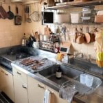 Tokyo: Small Family Cooking market Experience by local host - The Sum Up: Who Will Love This Experience?