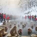 Tokyo: Snow Monkey Park & Nagano Highlights Private Trip - Authentic Experiences from Reviews