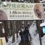 Tokyo: Snow Monkeys, Zenkoji Temple, & Obuse Day Trip - A Complete Guide to the Tokyo: Snow Monkeys, Zenkoji Temple, & Obuse Day Trip