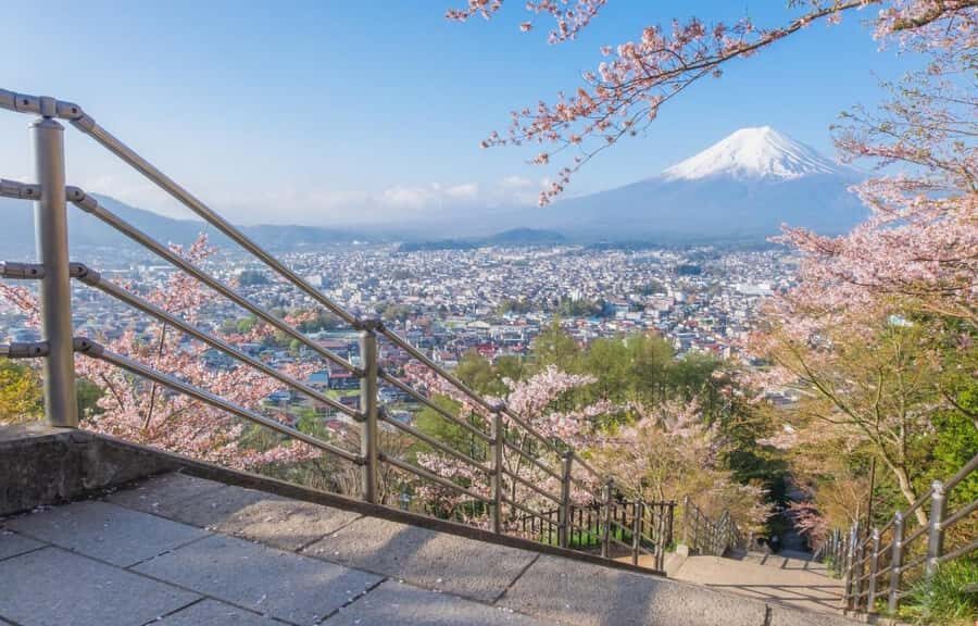 Tokyo Stunning Views of Mount Fuji Best-Selling One-Day Trip - The Journey & Logistics