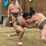 Tokyo Sumo Morning Practice with Guide  Ringside Live Training - FAQs