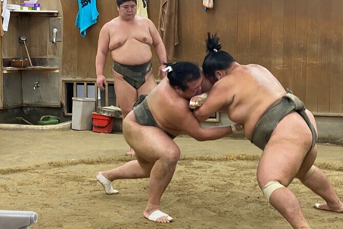 Tokyo Sumo Morning Practice with Guide Ringside Live Training - FAQs