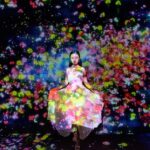 Tokyo: teamLab Planets & Toyosu Fish Market Guided Tour - Practical Aspects and What to Expect