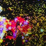 Tokyo: teamLab Planets & Toyosu Fish Market Guided Tour - Who Should Book This Tour?