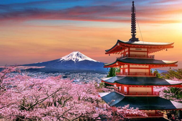 Tokyo to Mount Fuji A Full Day Private Tour From Tokyo - Practical Details and What to Know