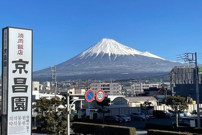 Tokyo to Mount Fuji Private Guided Experiences - Panoramic Views and Charming Villages