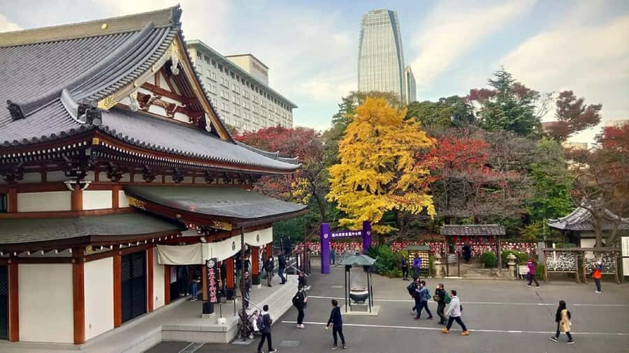 Tokyo: Tokyo Tower, Shiba Park, Zojoji Temple Walking Tour - Practical Details & What to Expect
