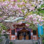 Tokyo Tower Adventure 60 Minute Scenic Rickshaw Ride - Who is this tour perfect for?