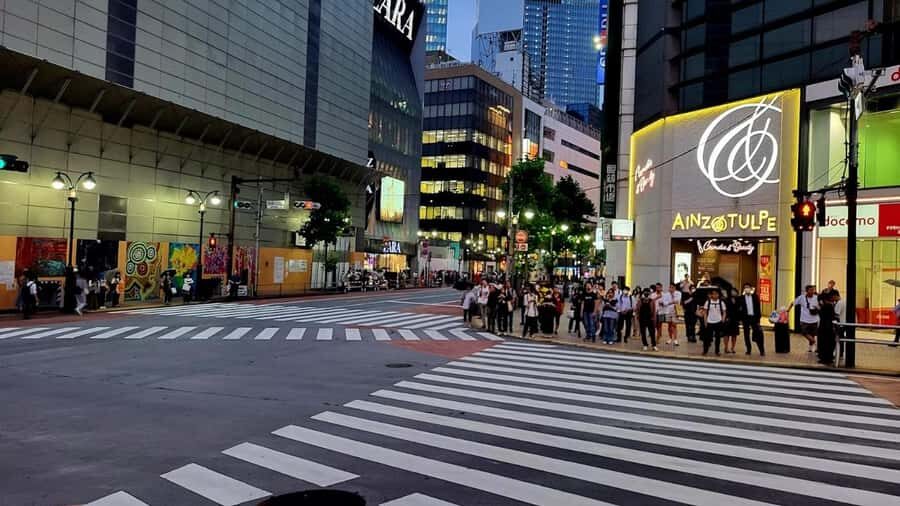 Tokyo Tower, Sensoji Temple, Shibuya Crossing Day Trip - Authentic Experiences and Real Insights