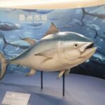 Tokyo: Toyosu Tuna Auction & Tsukiji Market Gourmet Tour - Who Will Love This Tour?