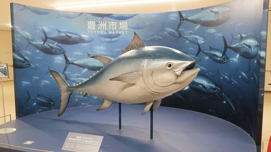 Tokyo: Toyosu Tuna Auction & Tsukiji Market Gourmet Tour - Who Will Love This Tour?