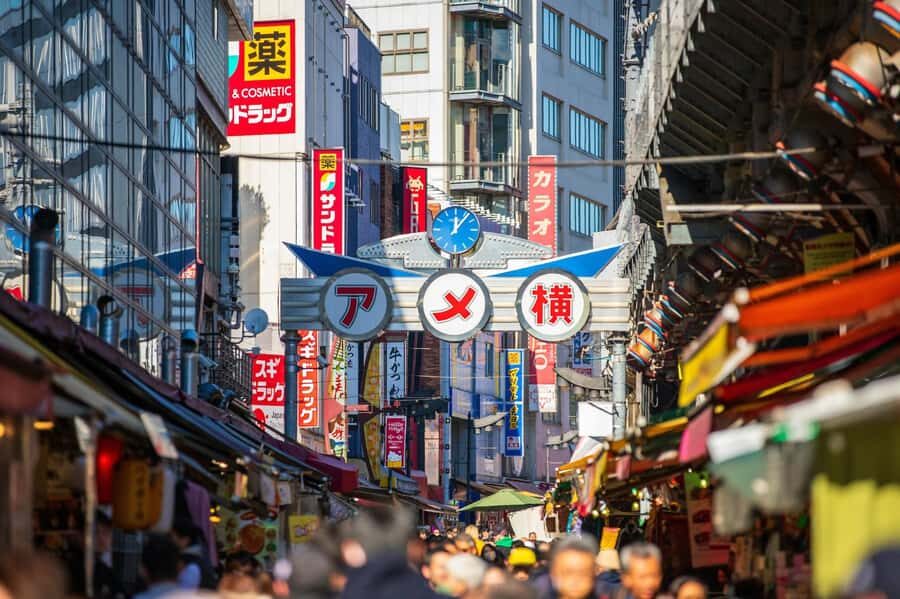 Tokyo Ueno Bar Hopping Tour  Hidden Izakaya & Local Guide - The Experience in Detail