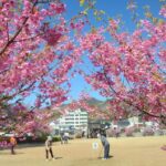 Tokyo: West Izu Day Trip - Who Should Consider This Tour?