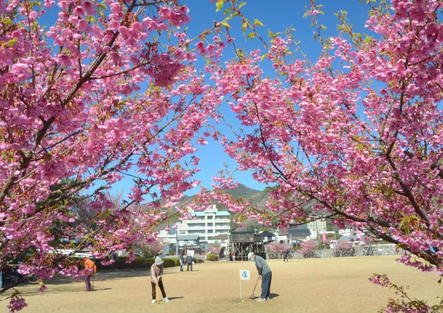 Tokyo: West Izu Day Trip - Who Should Consider This Tour?