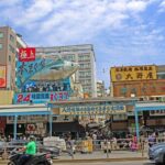 Tokyo Wheelchair-Friendly Custom Day Tour: Asakusa, Tsukiji - The Itinerary: What to Expect