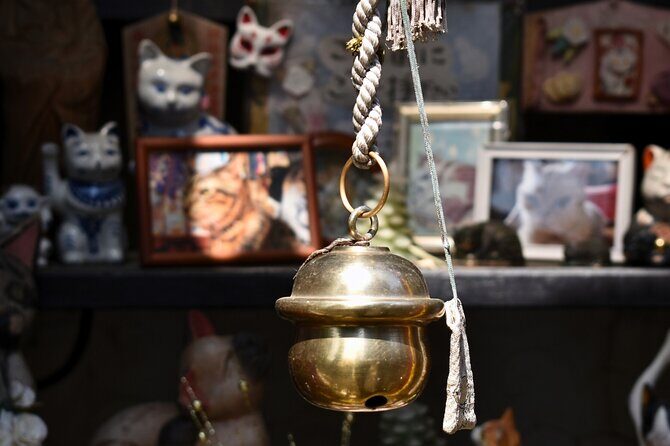 Tokyo: Yanaka and Ueno, the Tokyo of Tradition - Practical Details and What to Expect