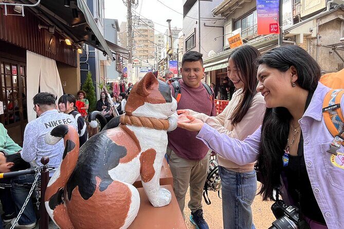 Tokyo Yanaka Old Town Walking Tour (Private/Local guide) - Practical Details & Highlights