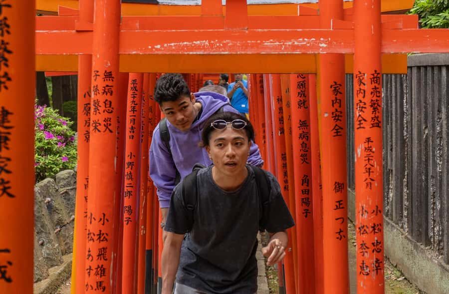 Tokyo: Yanesen Cultural & Hidden Gems Guided Walking Tour - What to Expect: Practical Details and Tips