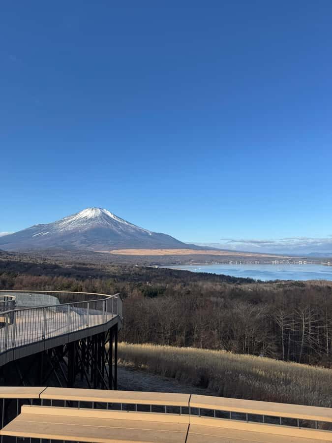 Tokyo/Yokohama: Mount Fuji & Hakone Private Full-Day Tour - Why This Tour Offers Great Value