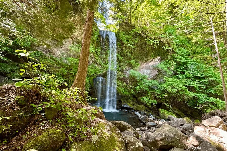 Tokyo: Yuhi no Taki Waterfall Meditation Experience - Exploring the Takigyo Waterfall Meditation