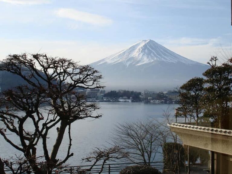 Tokyo:Private Tour to Mount. Fuji + Hakone W/ Driver - Practical Considerations and Logistics