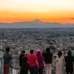 Tokyo's Contrasts: 9-Hour Guided Cultural Journey - Practical Details & Worth Analysis
