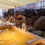 Tokyo's Only Tattoo Friendly traditional bathhouse + Ramen Tour! - Practical Details and Tips