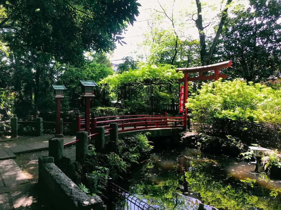 Tokyo's Shibuya On Foot, With Hachiko & the Lucky Cat Temple - Walking Through Shibuya: An Authentic Urban Experience