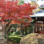 TokyoShibuya Japanese Walk for your Day-1 in Japan - Authentic Insights & Reviewer Perspectives