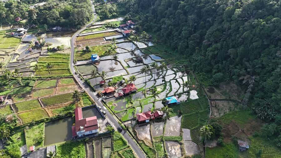 Tomohon: Minahasa Culture and Nature tour with Local Guide - Who Will Love This Tour?