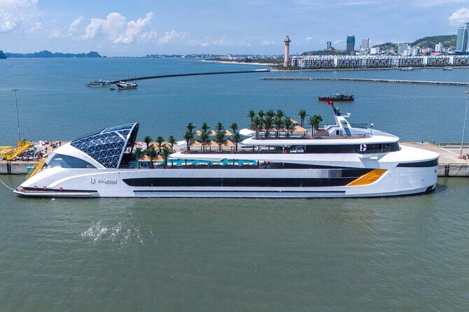 Top 5-Star Halong Bay Day Cruise  Relax, Swim & Scenic Tour - Who Will Love This Cruise?