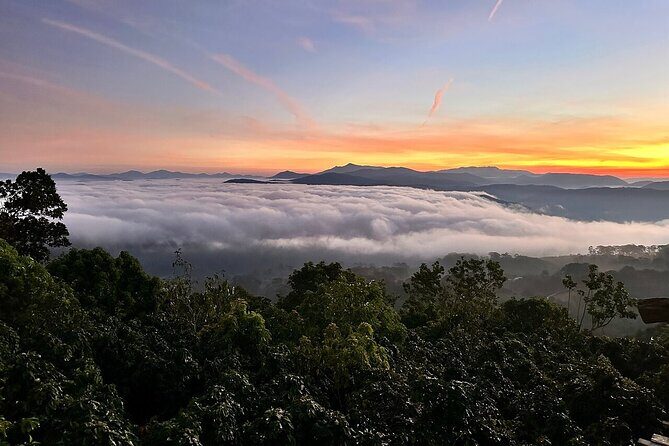 Top Attractions and Hidden Gems in Da Lat 2 Days 1 Night Tour - Evaluating the Value and Experience