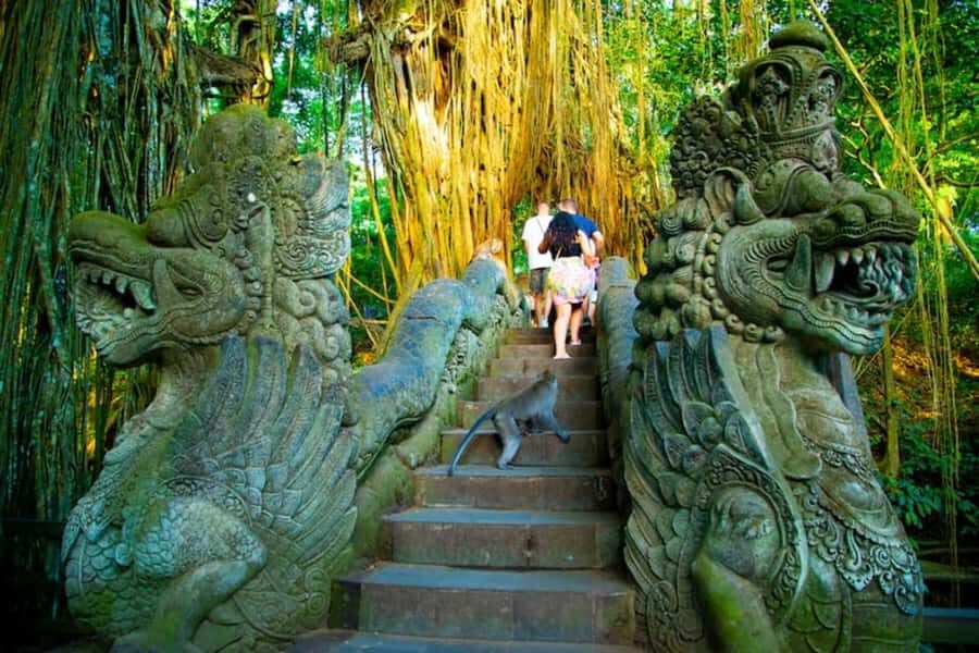 Top Highlights Ubud Private Day Tour - Final Thoughts