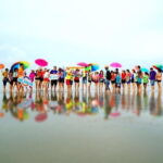 Total Reflection - Sky Mirror Tour to Kuala Selangor with Lunch - What Makes This Tour Stand Out?