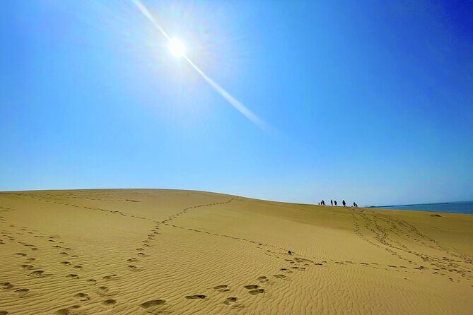 Tottori: Guided Walk through the Tottori Sand Dunes - Who Is This Tour Best For?